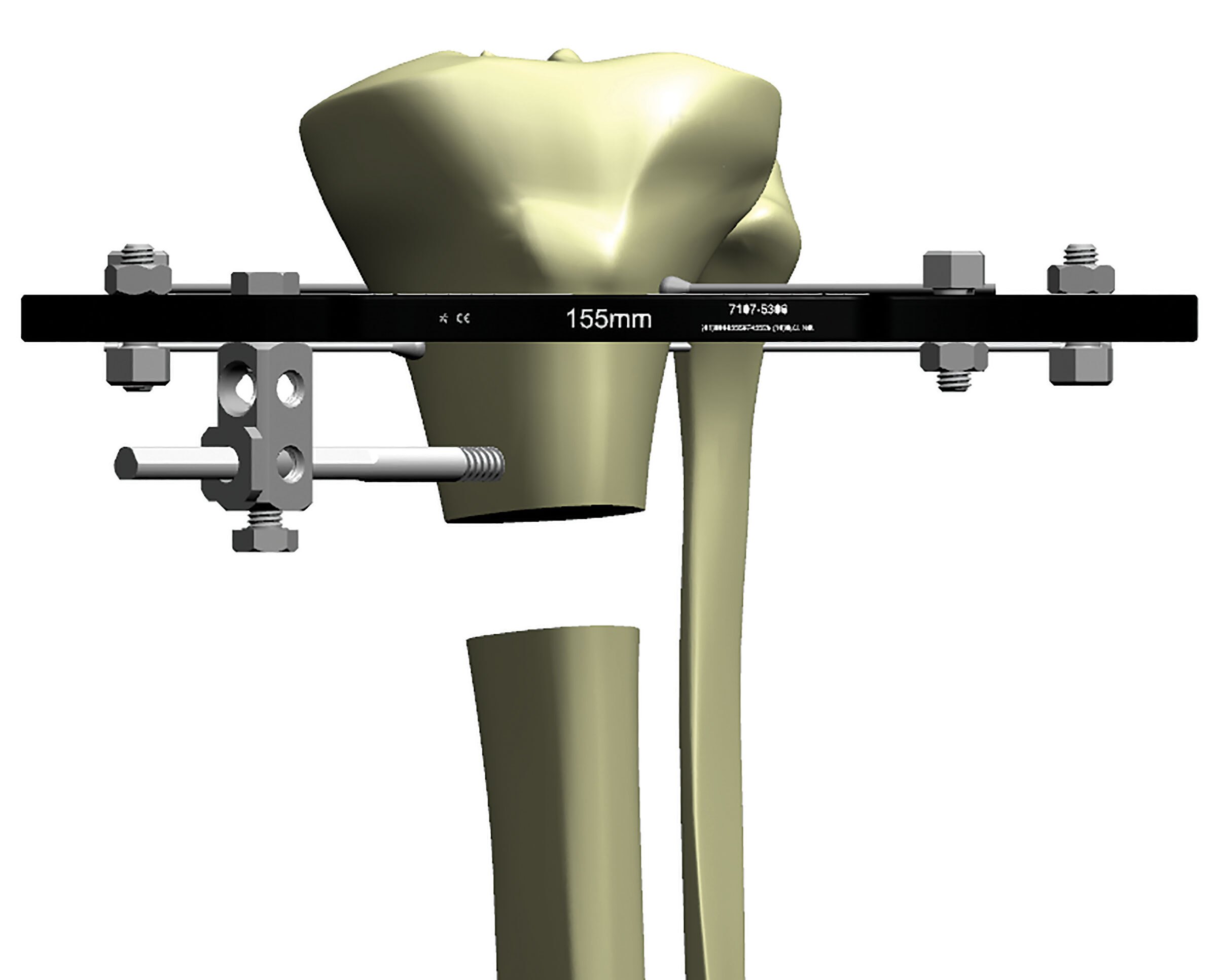 stable frame figure 5a