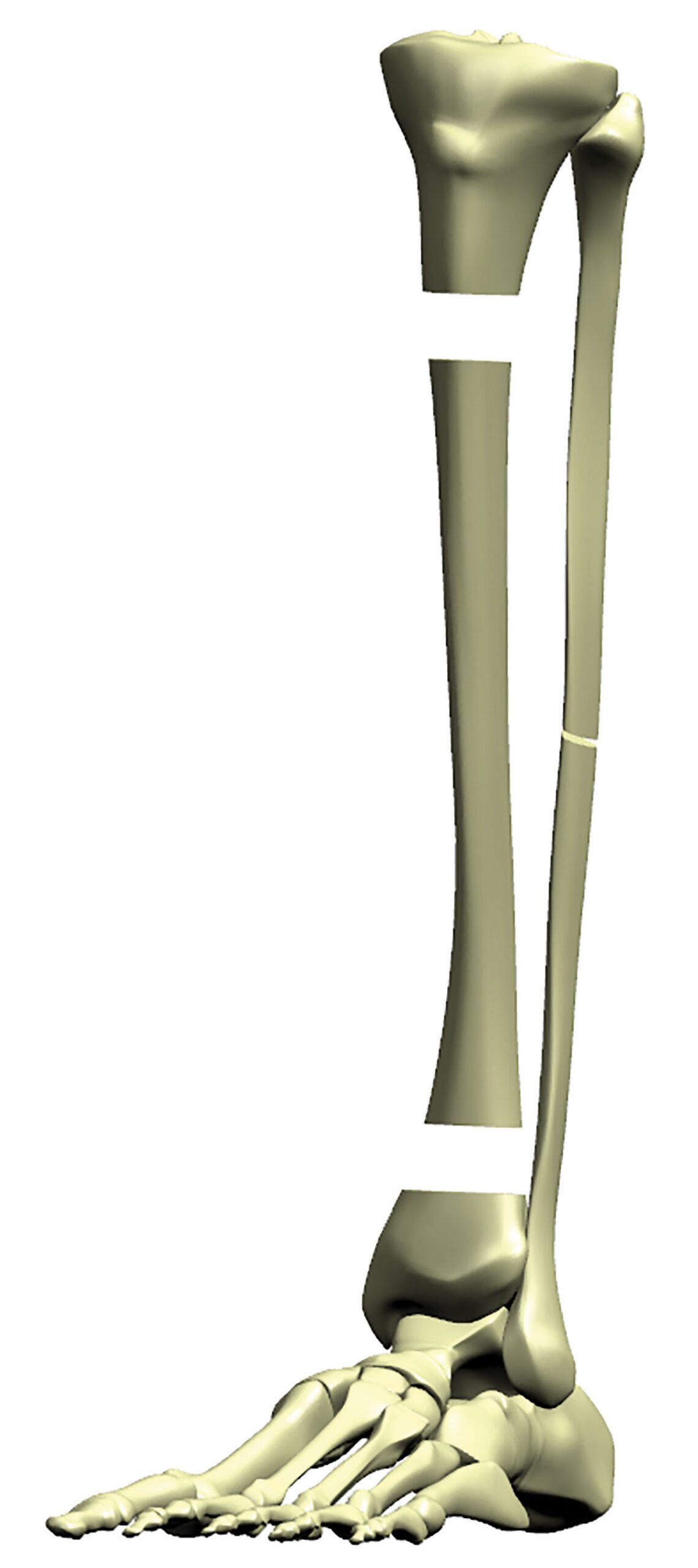 stable frame figure 2a