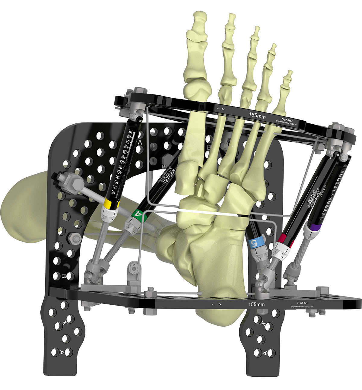 configuring butt frame figure 4c