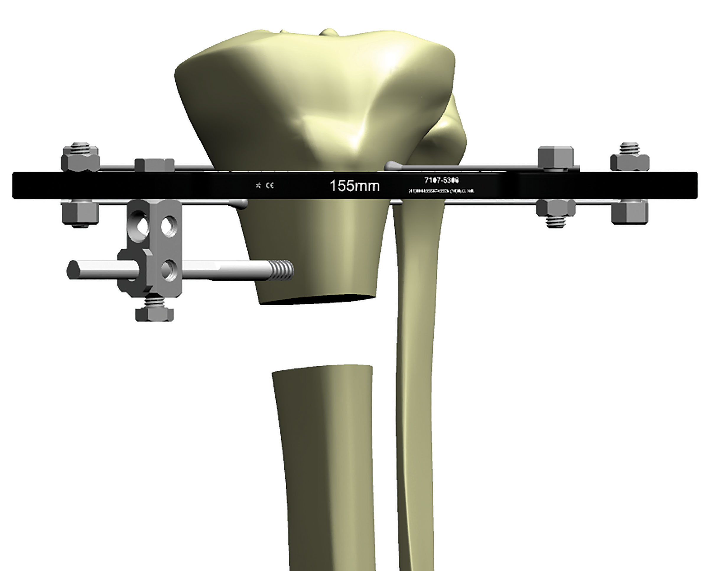stable frame figure 5a