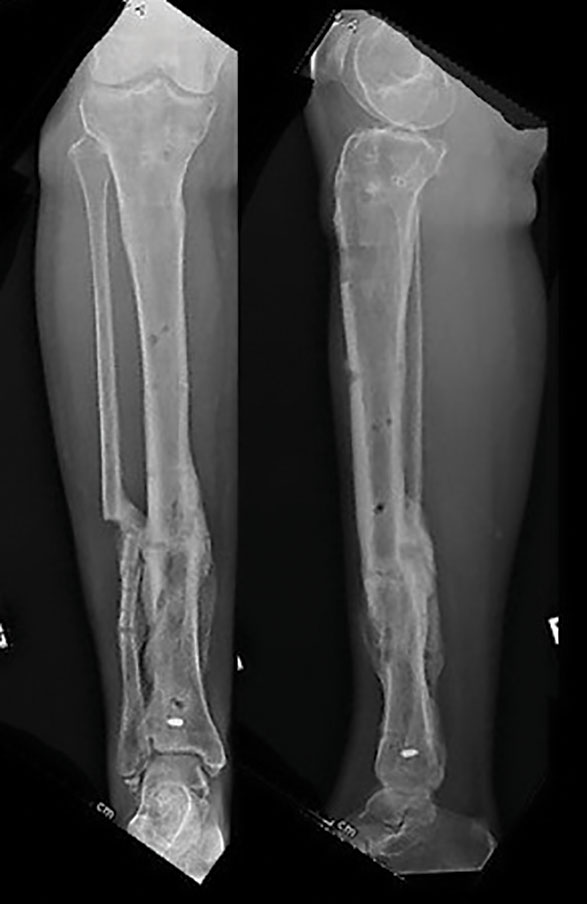 stable frame figure 1d