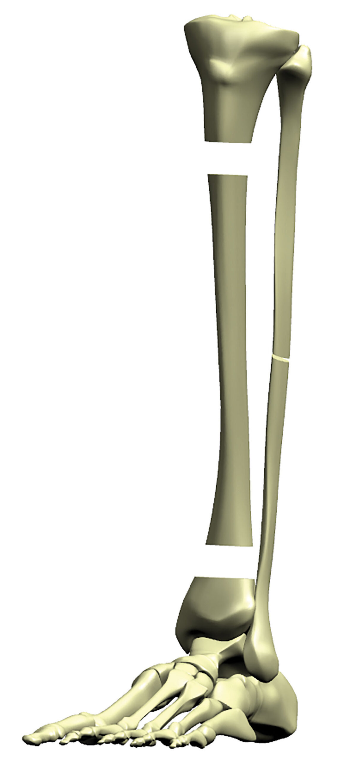 stable frame figure 2a