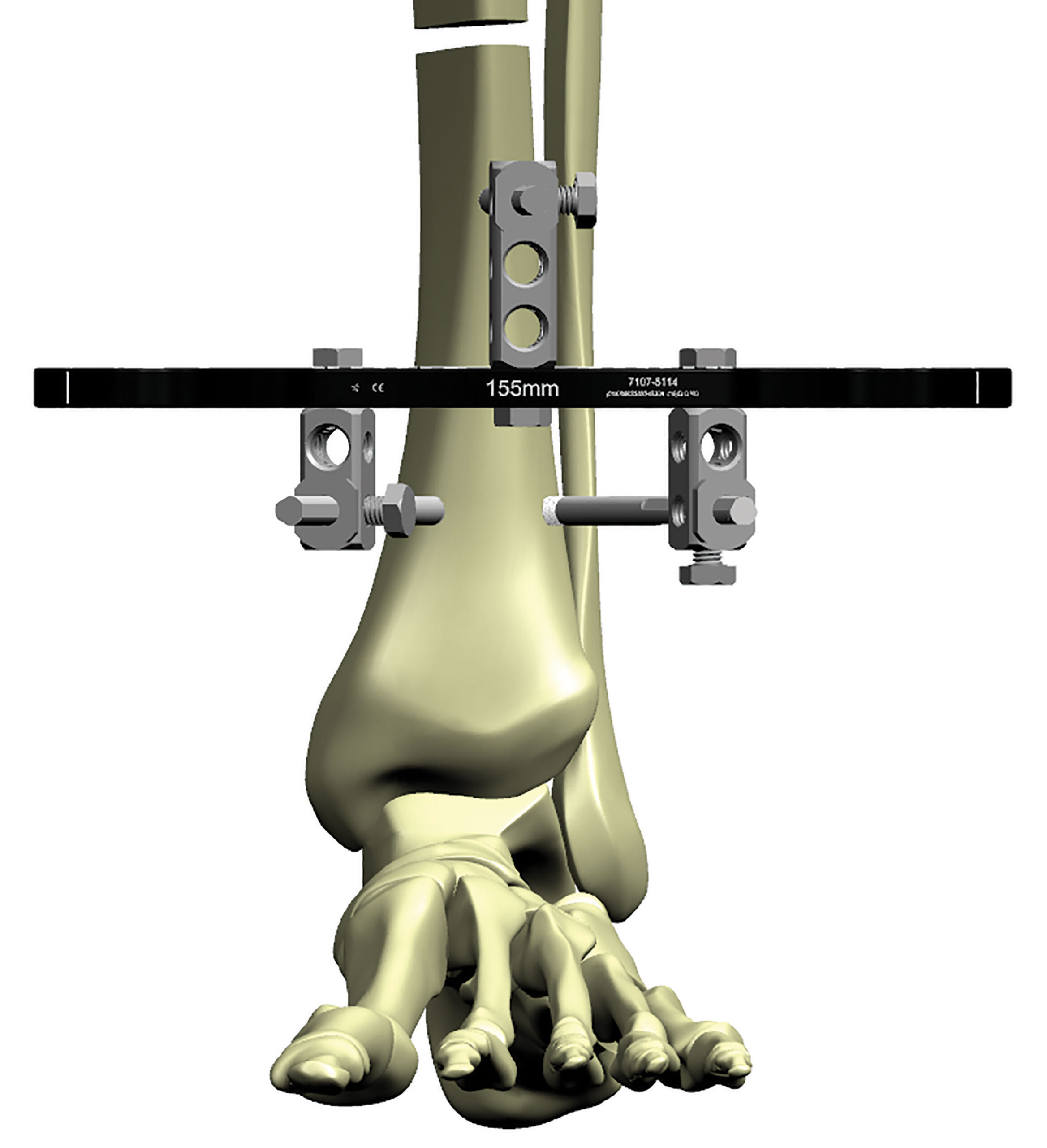 stable frame figure 5b