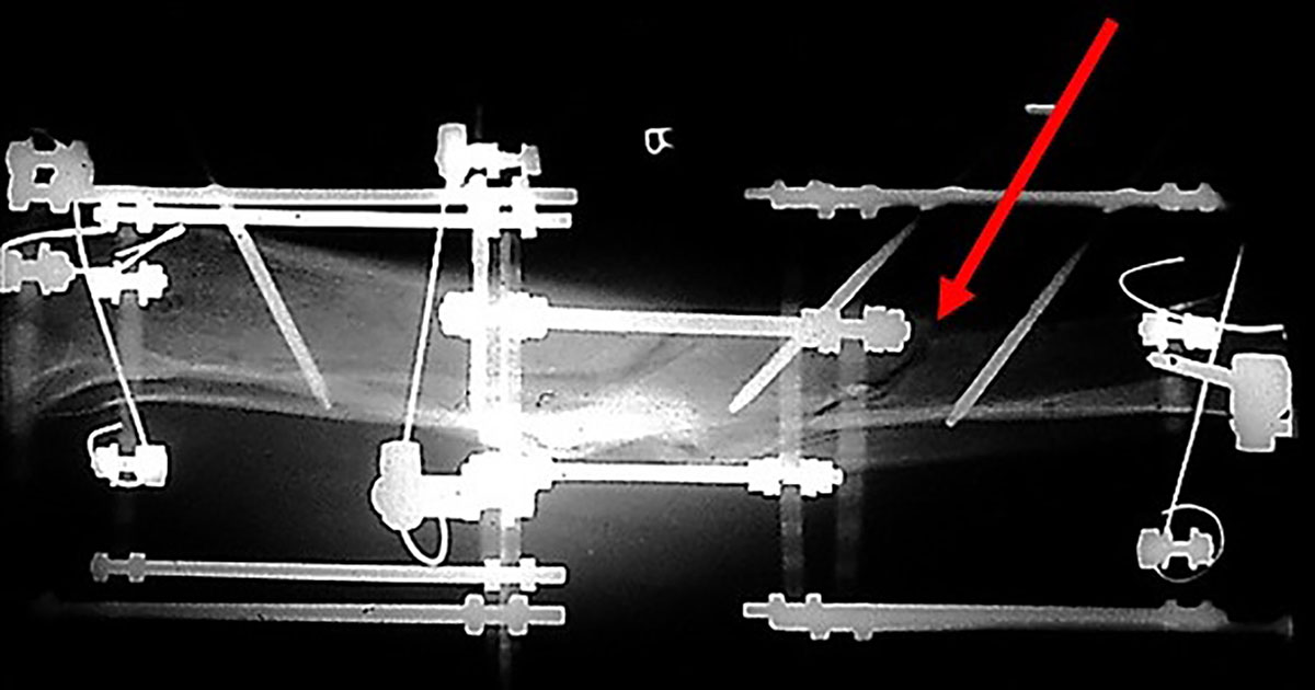 stable frame figure 8b